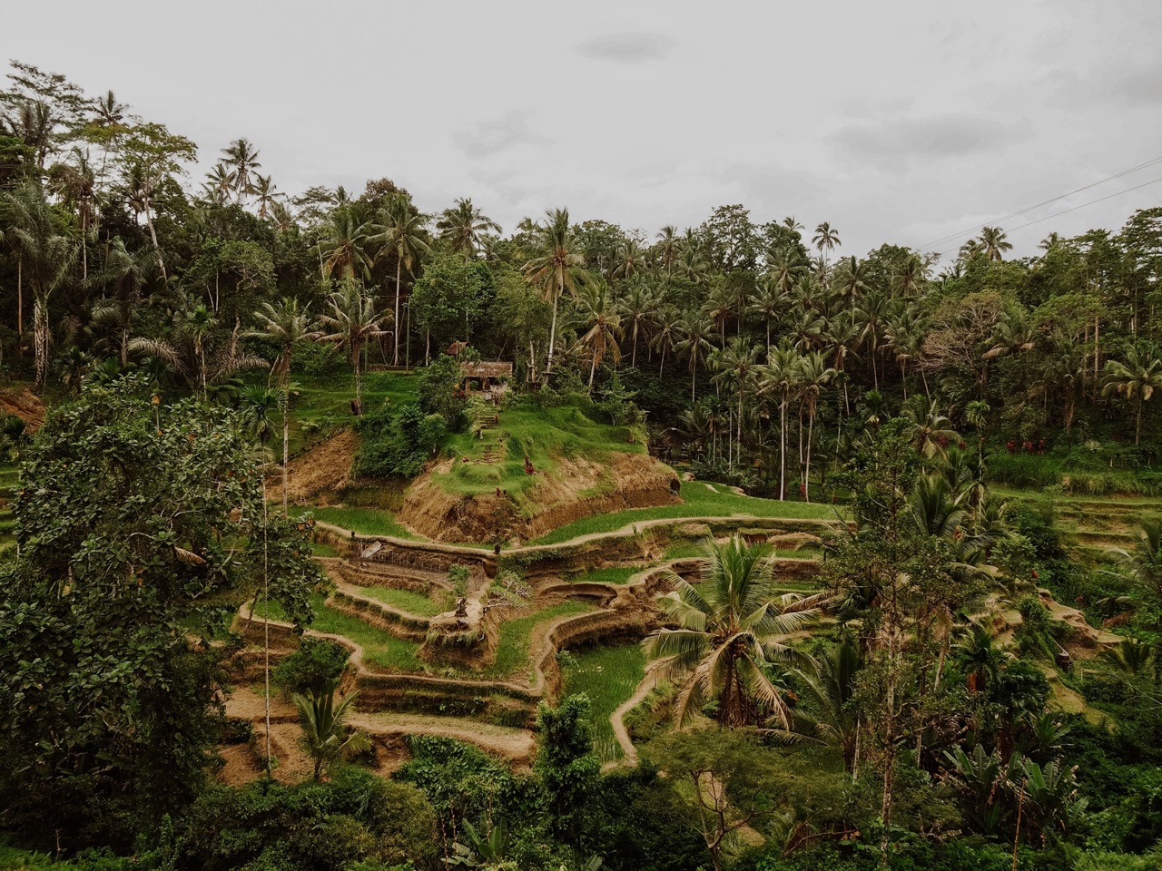 Bali